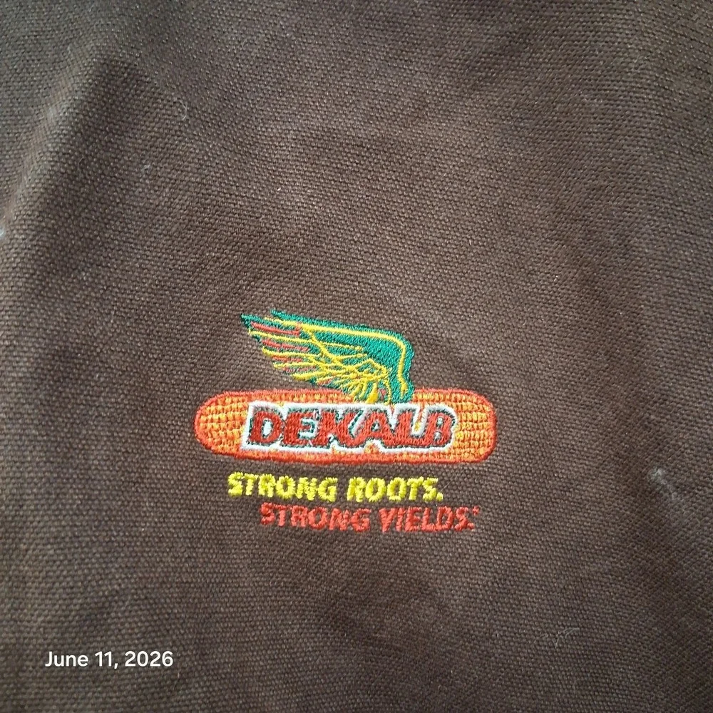 VTG Y2K Carhartt Sandstone Active Jacket J25 DKB Size XL Dekalb Hooded Lined